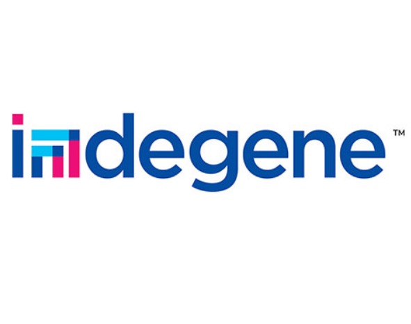 Indegene Limited IPO